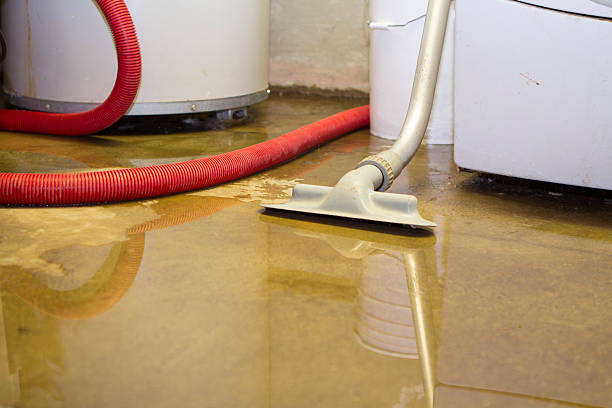 Best 24-hour water damage restoration  in Kensington, CT